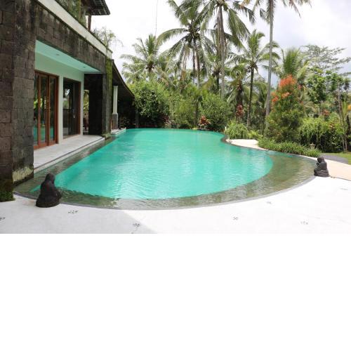 The Alise Villa