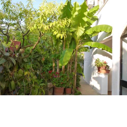 The apartment with air conditioned (for 1-5 people), in the quiet part of Porec