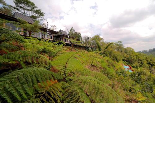 The Bejalin Eco Retreat