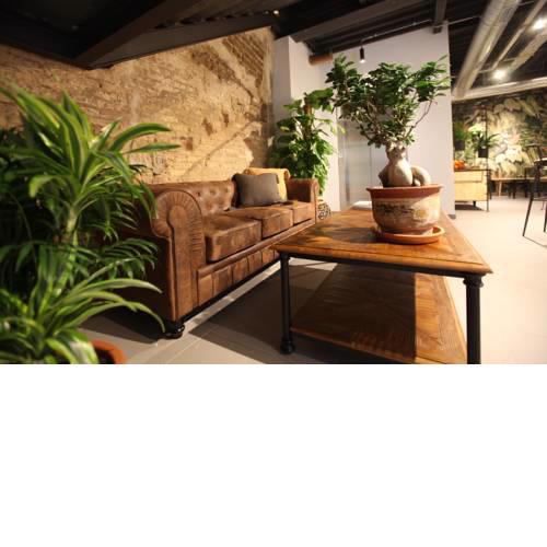 The Botanic Hostel