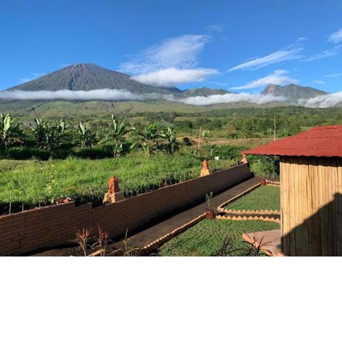 The Gate Rinjani