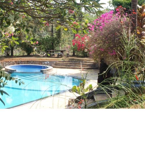 The Gecho Inn Country