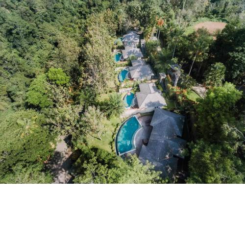 The Grand Bakas Jungle Retreat Villa