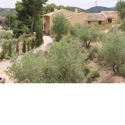 The Hibiscus Retreat Adult Only