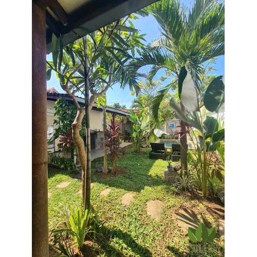 The Jungle House