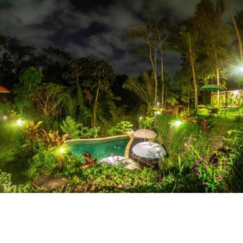 The Jungle Villa