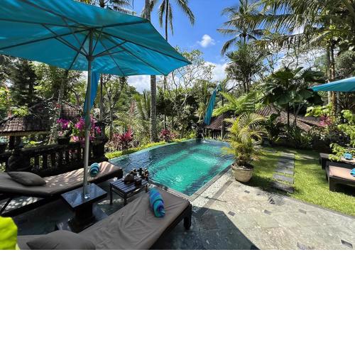 The Mahogany Villa