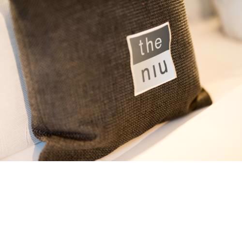 the niu Cab