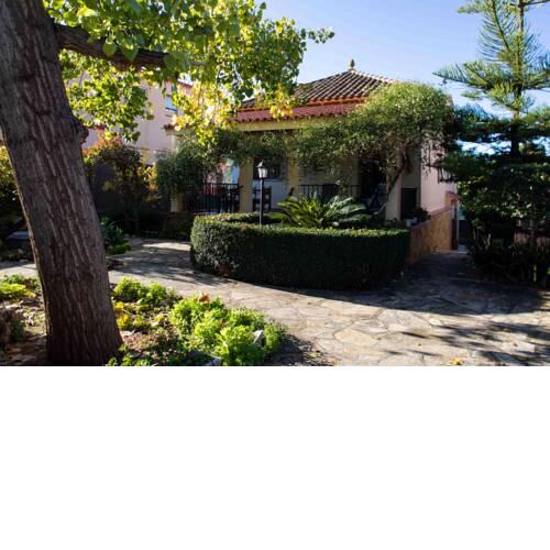 The Orange Lemon Tree House