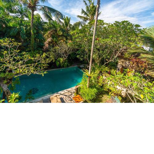 The Pause Inn - Soca