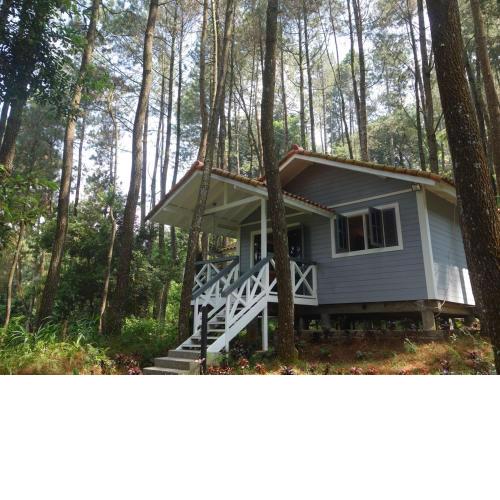 The Pine Forest Villas