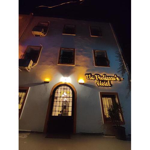 The Professor's Hotel