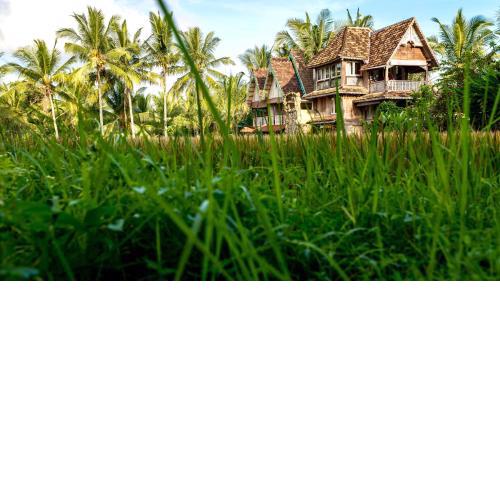 The Rice Joglo Eco-Stay