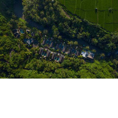 The Samaya Ubud