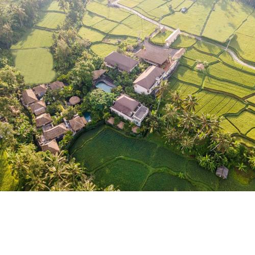 The Sun of Granary Resort and Villas