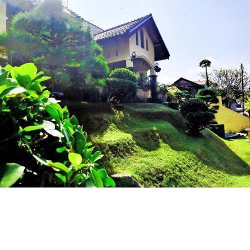 The Terrace House