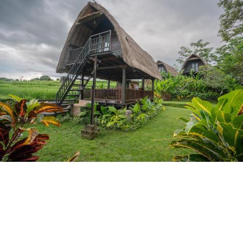 The Tetamian Bali