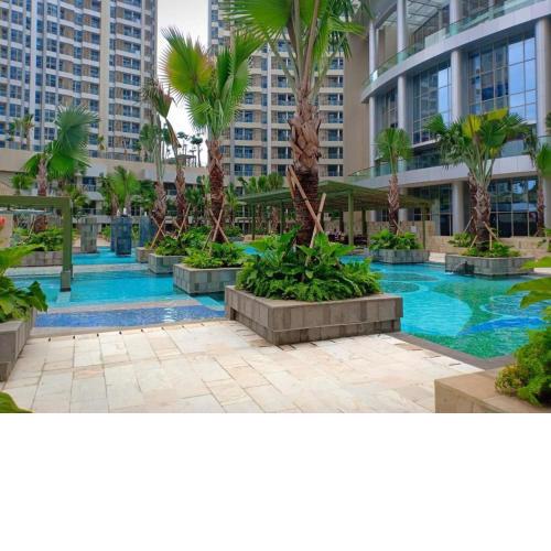The Urban Haven