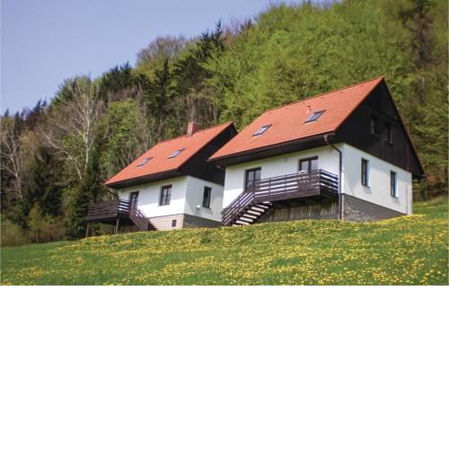 Three-Bedroom Holiday Home in Starkov