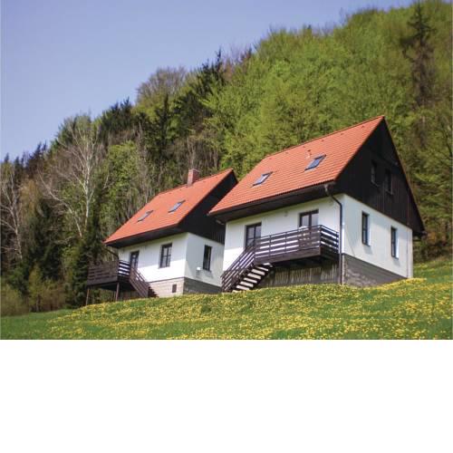 Three-Bedroom Holiday Home in Starkov