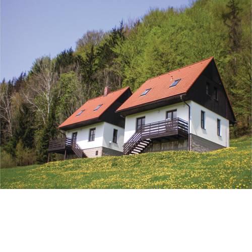 Three-Bedroom Holiday Home in Starkov