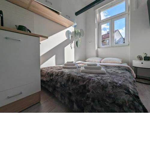 Tiny Condo w TV, Washer, Dryer & Kitchen