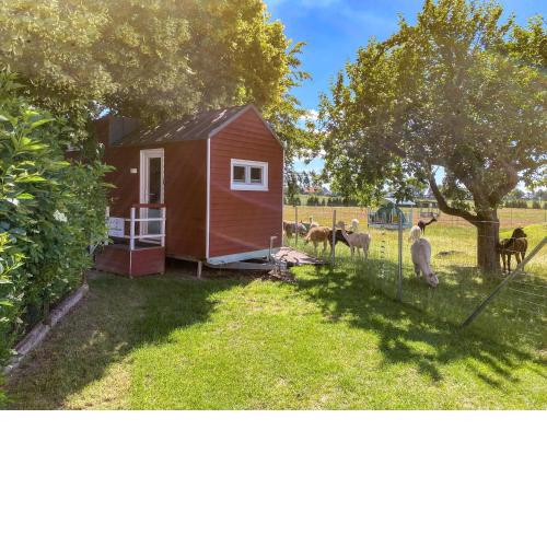Tiny House auf der Alpaka Farm