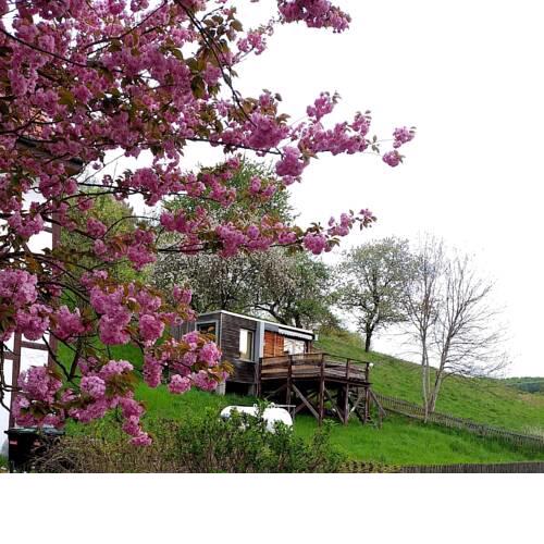 Tiny House mit Klima und Heizung, in idyllischer Ortsrandlage