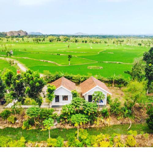 Tommy Homestay