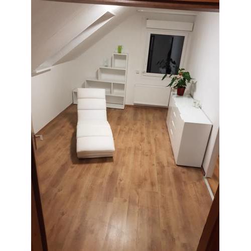 Top XXL Apartment -- großes, elegantes und helles Apartment -- WiFi -- WLAN -- Parkplatz --