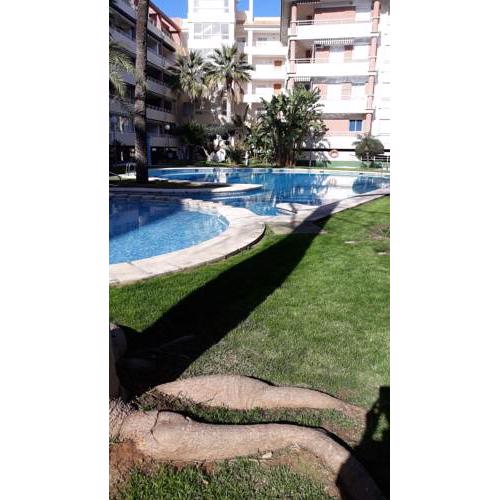 Top Appartment