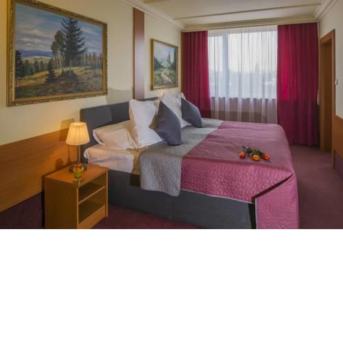 TOP HOTEL Praha