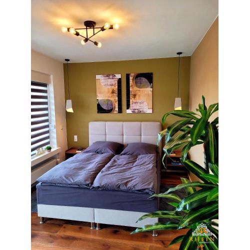 Top Modernes Rhein Apartment Vallendar mit Balkon