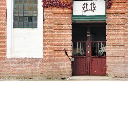 Torhaus F