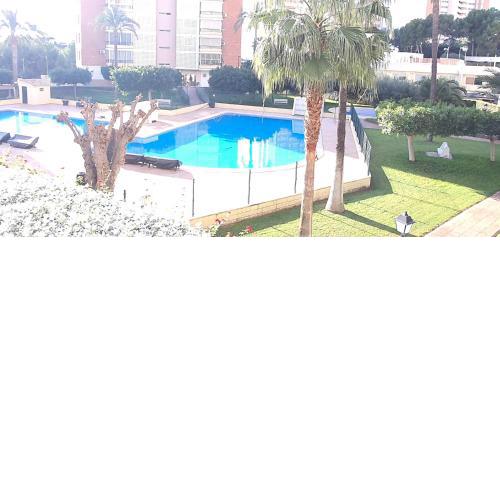 TORRE CLUB MEDICO - Fincas Arena