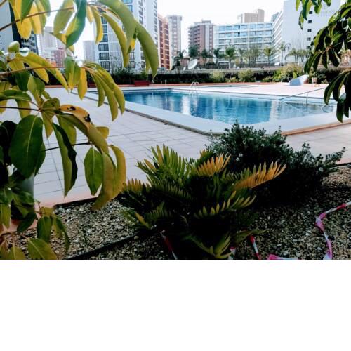TORRE MAR APARTMENT