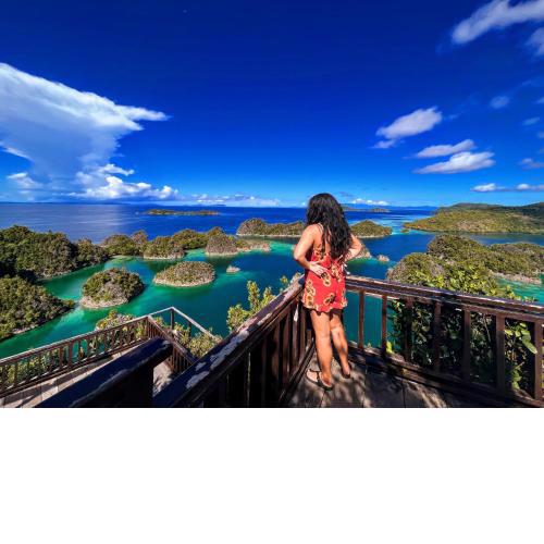 Tour raja Ampat paradise