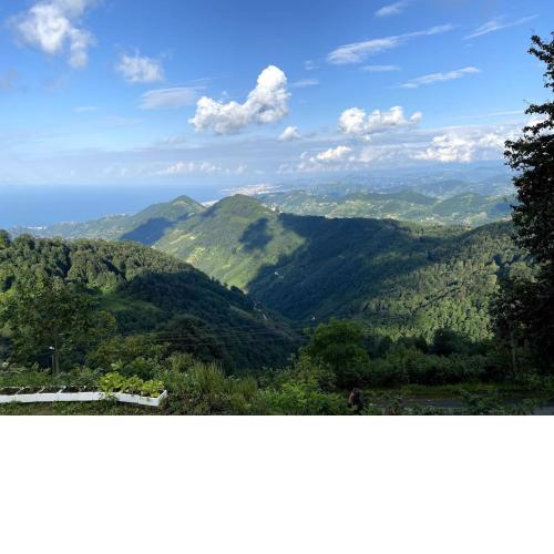 Trabzon Mountain House