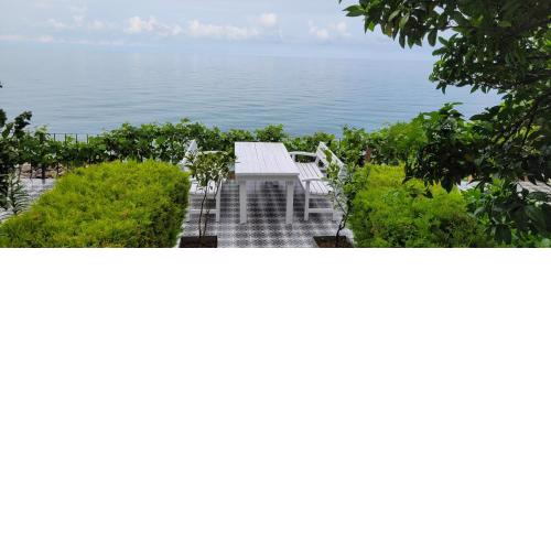 Trabzon Villa