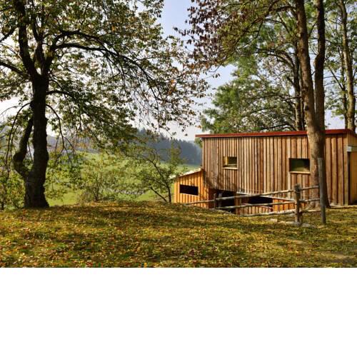 Traditional Apartment in Altreichenau near the Forest