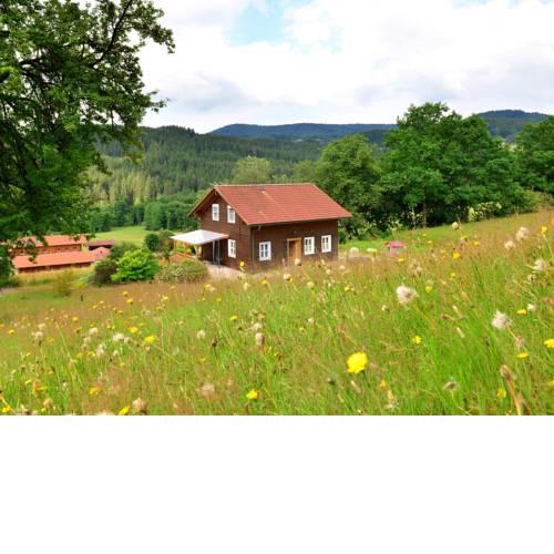 Tranquil Holiday Home in Drachselsried near the Forest