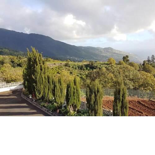 Tranquil Mansion in Tegueste with Terrace