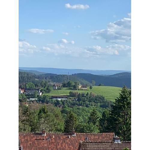 Traumharz