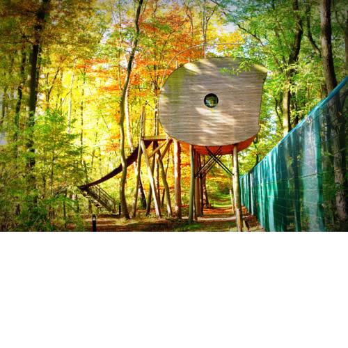 Tree Inn - Das Baumhaushotel