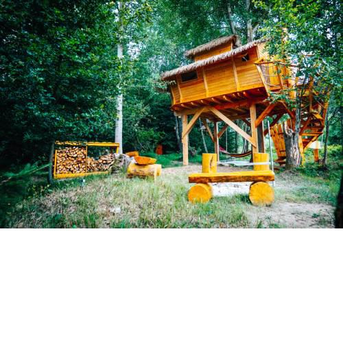 Treehouse Česká Kanada