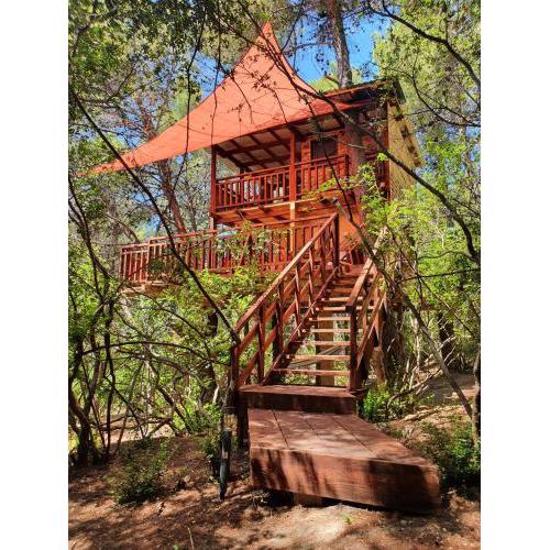 TreeHouses Ljubač Glamping Robinson