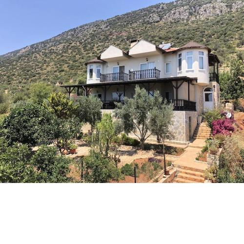 Trinity Holiday Homes/2