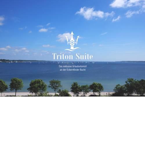 Triton Suite - [#23966]