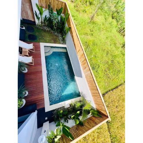 Tropical Modern Oasis