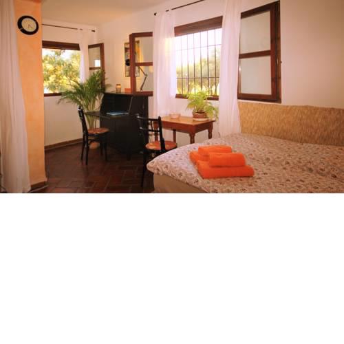 Tropical Studio